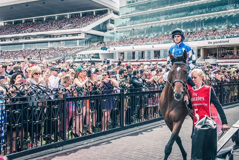 Race Day, Every Day: Navigating Online Casino Play During Australia's Big Racing Season