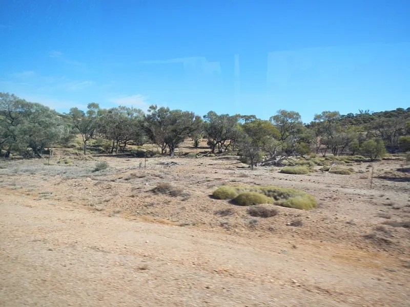 Red Dirt Reels: How the Outback Is Fuelling Australia's Most Exciting New Casino Games