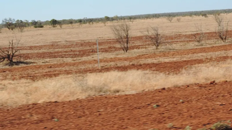 Screen, Spin, G'Day: How Online Casinos Are Stitching Together Outback Communities One Game at a Time